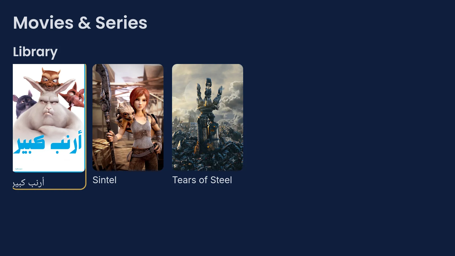 VIZOBOX movies-on-demand screen on a hotel television — a grid of film posters with titles and descriptions